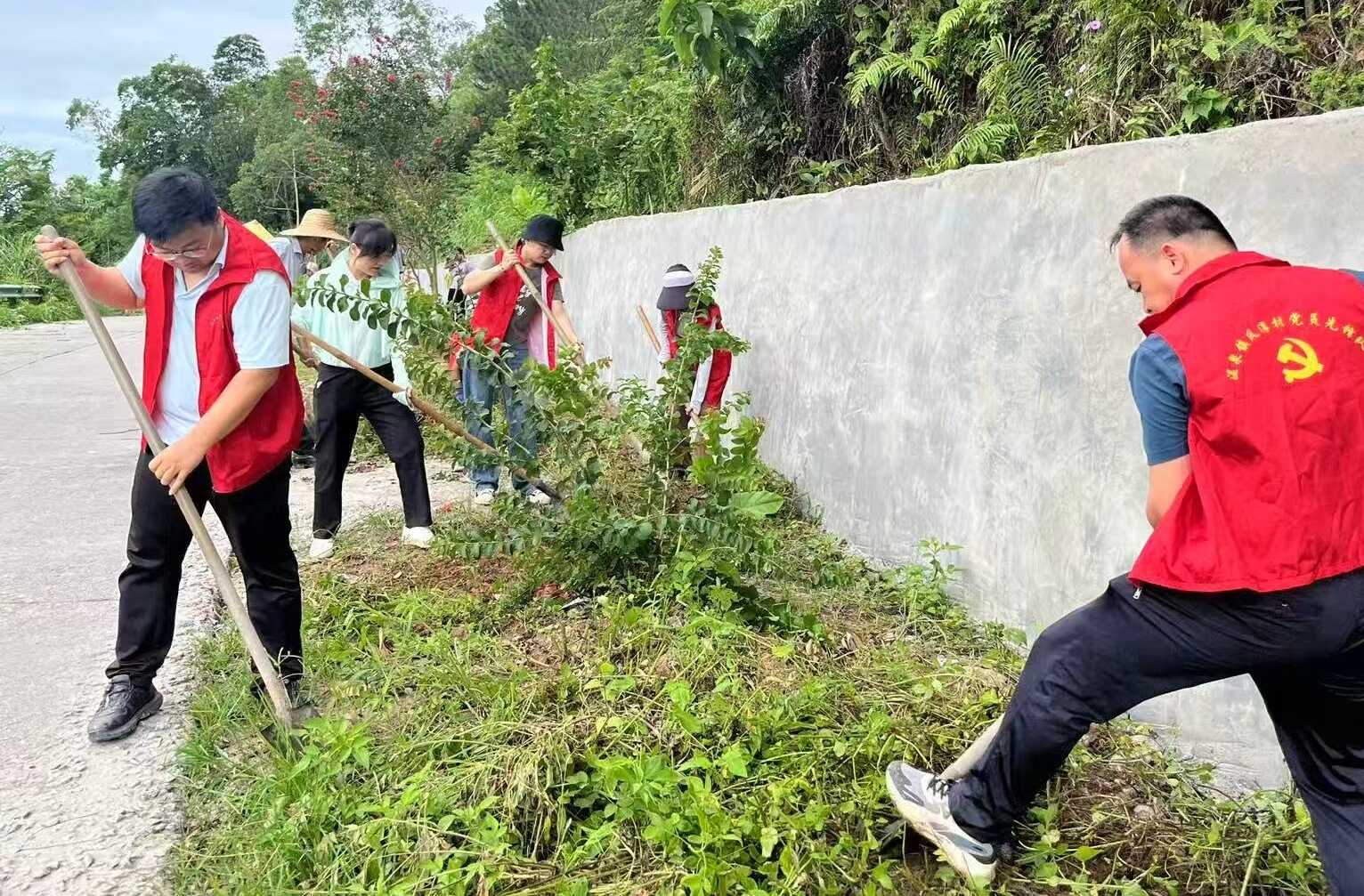 3-组织村两委和公益性岗位清楚路边杂草,为拓宽硬化道路做准备。.jpg